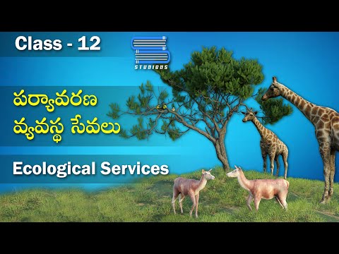 పర్యావరణ వ్యవస్థ సేవలు - Ecological Services | Ecosystem Chapter | Biology
