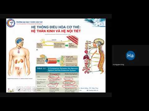 SINH LÝ NỘI TIẾT - P1 - CTUMP