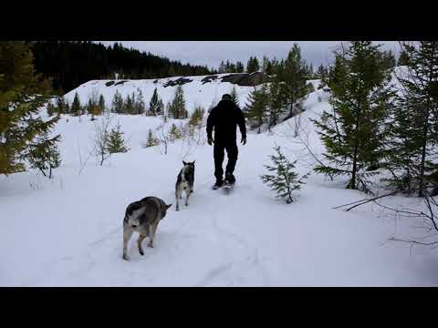 Aila and Raven Farewell 2 Jamthund Sisters