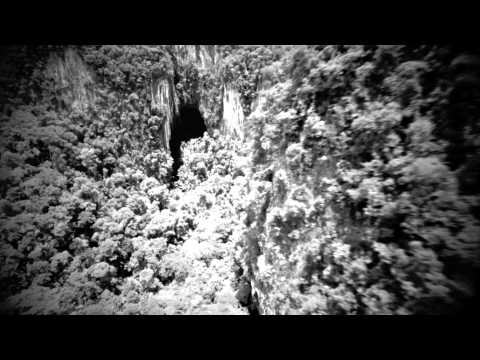 Dibby Dougherty & David Young - Morning Light (Feat. Ryan Vail)