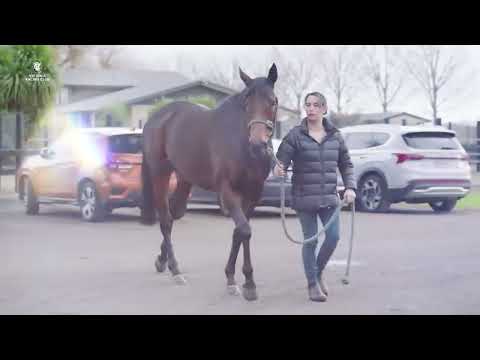 Ken Kelso on Legarto