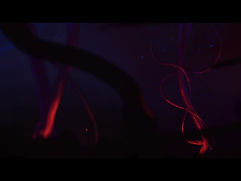 Five pebbles (rainworld part 5)