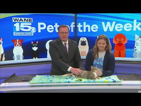 Pet of the Week 11/25/25 - YouTube