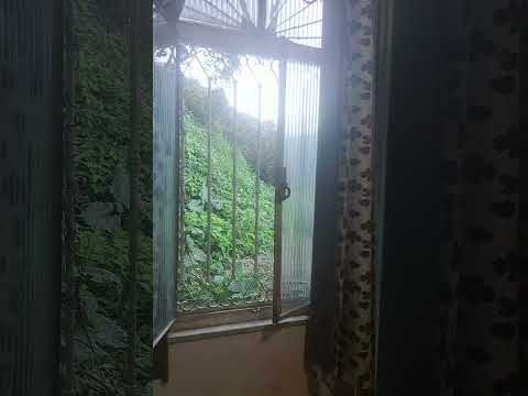 Briga De Bar - A Olívia