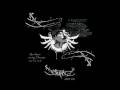 Tupac Ft Akon Wyclef Sweetest Girl Remix
