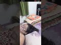 Bigo Live 1