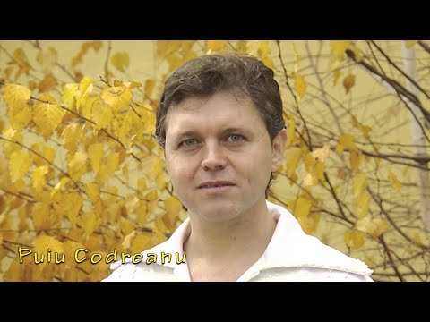 Puiu Codreanu   Tu esti jumatatea mea HIT Live