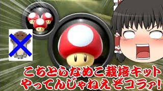【ゆっくり実況】第１９回200ccで駆け抜けるマリオカート8DX