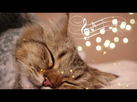 😽 Cat's favorite relaxing  music and birds singing 🎹 Sleep music for relaxing  to reduce cat anxiety