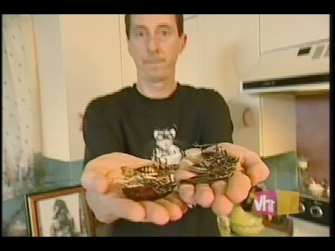 Totally Obsessed: Cockroaches - Fred Willard