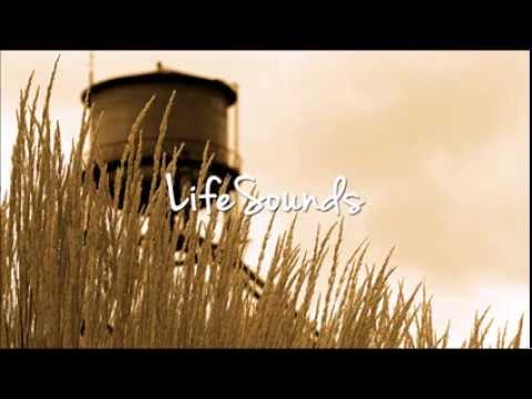 Fortune Family feat. JohnieB - Gravity