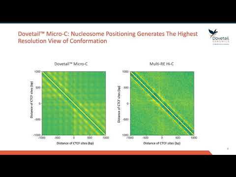 Introduction to Dovetail™ Micro C Technology