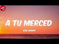 Bad Bunny - A Tu Merced (Letra/Lyrics)