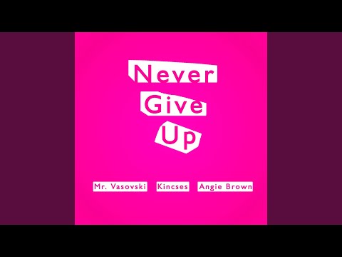 Never give up (Mr. Vasovski Deepdisco Mix)