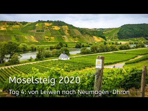 Moselsteig 2020 - Tag 4 - Leiwen nach Neumagen-Dhron