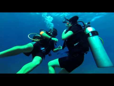 Discover Scuba Dive at "The Aquarium", Catalina Island