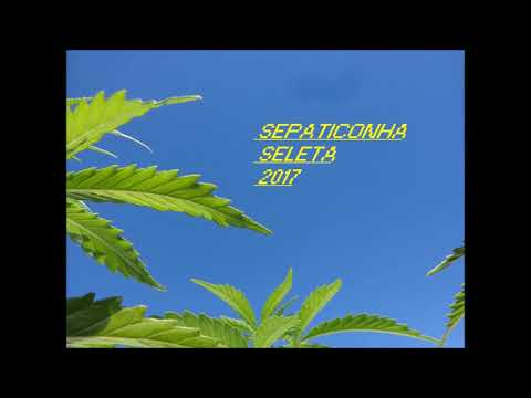 SEPATICONHA SELETA 2017 [full compilation]
