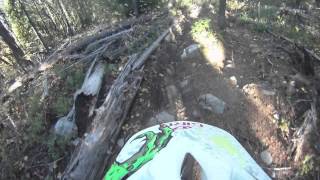 preview picture of video 'Nelson, BC - Placenta Descenta to Lefty to Fat Tire DH Course'