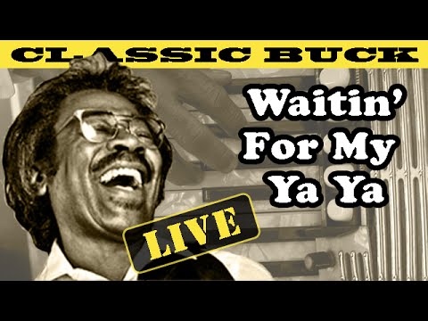 Buckwheat Zydeco: "Waitin for my Ya Ya" - Buckwheat's World #11