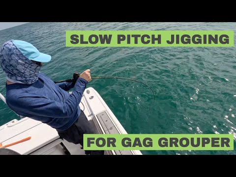 Gag Grouper Fishing Slow Pitch Style