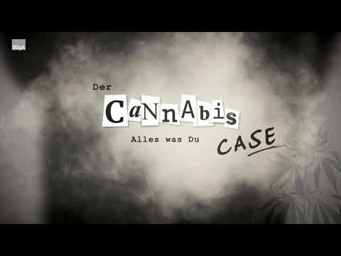 Der Cannabis Case 1 - Nutzpflanze und Rauschmittel