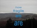Sting - Fragile - Cover + Lyrics 