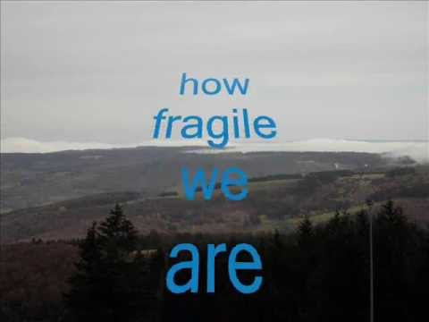 Sting - Fragile - my cover-version (+ lyrics)