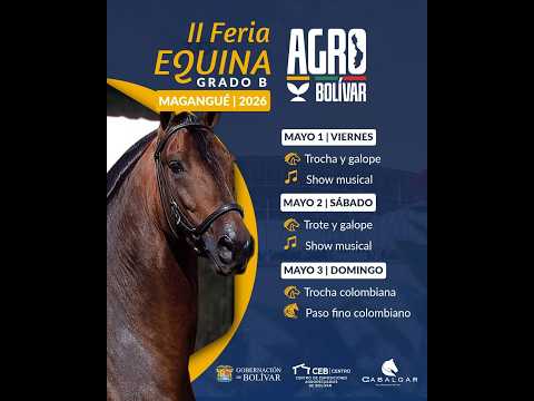II FERIA EQUINA GRADO B - AGROBOLIVAR MAGANGUE 2026 - TROCHA COLOMBIANA-PASO FINO COLOMBIANO - DIA 3