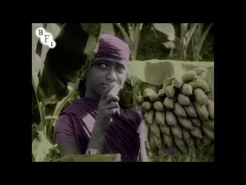 The Wonderful Fruit of the Tropics (1914)