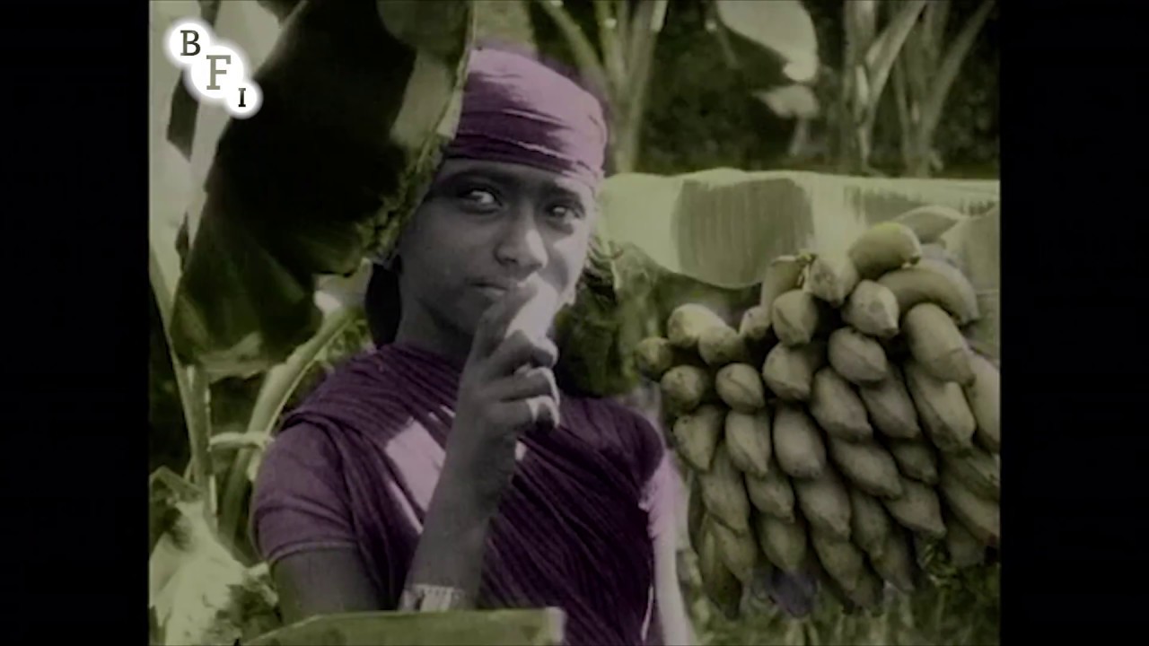 The Wonderful Fruit of the Tropics Trailer