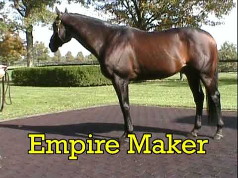 Empire Maker @ Juddmonte Farms 2009