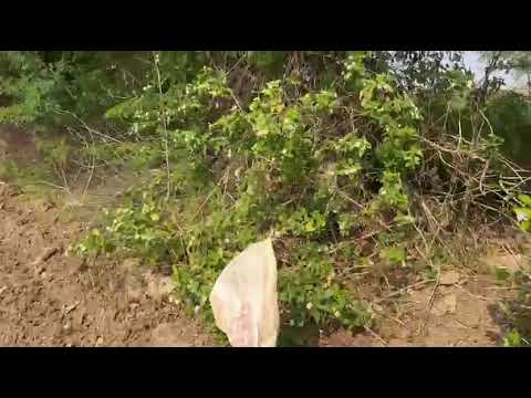 Noori Bricks Industries likely Refers To Your Ultimate Destination Industries @HajiIrshadNoorie3  