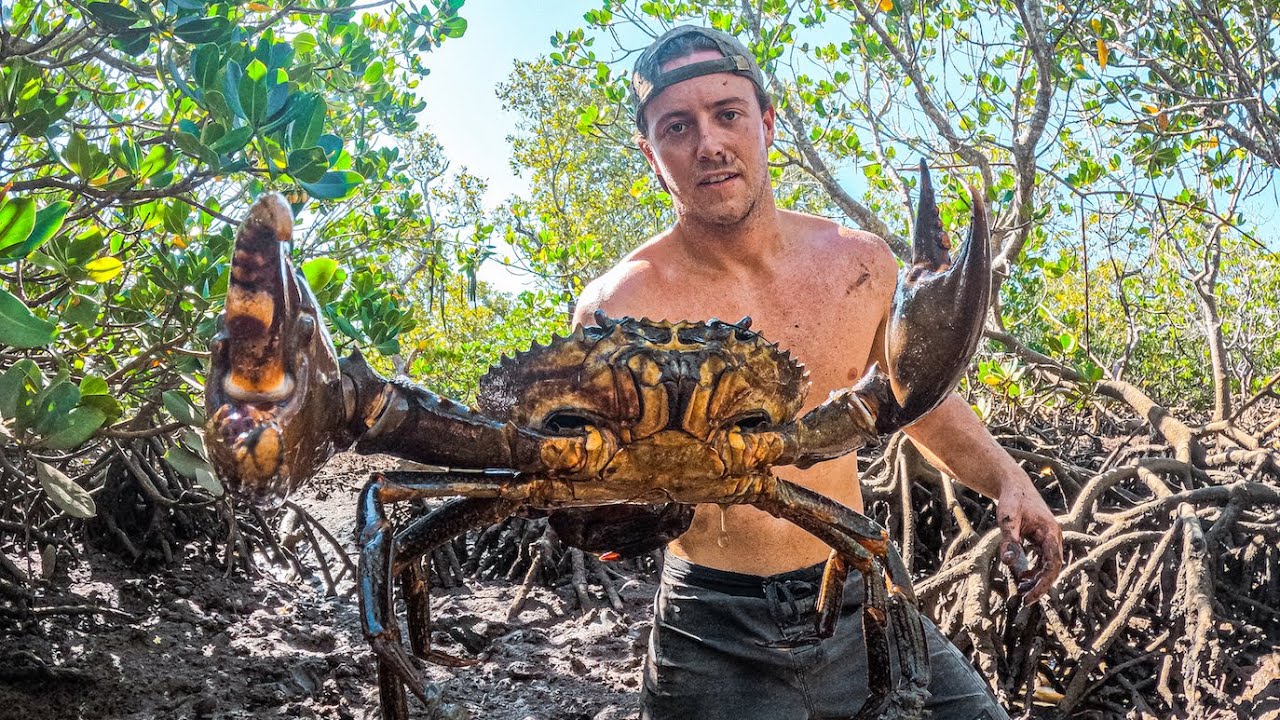 KING SIZE CRAB Catch & Cook (My Finger Got CHOMPED)