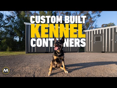 Custom-Built Kennel Containers for Newcastle City Council | Secure & Comfortable Dog Housing