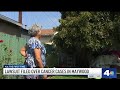Maywood residents file lawsuit against a company over cancer cases