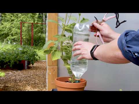 Bevattningsplugg för PETflaska