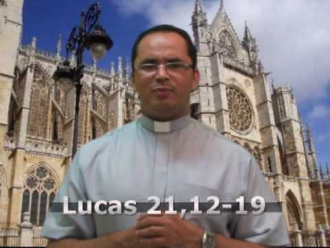 Evangelho do dia 25 de novembro de 2009. [Lucas 21,12-19]