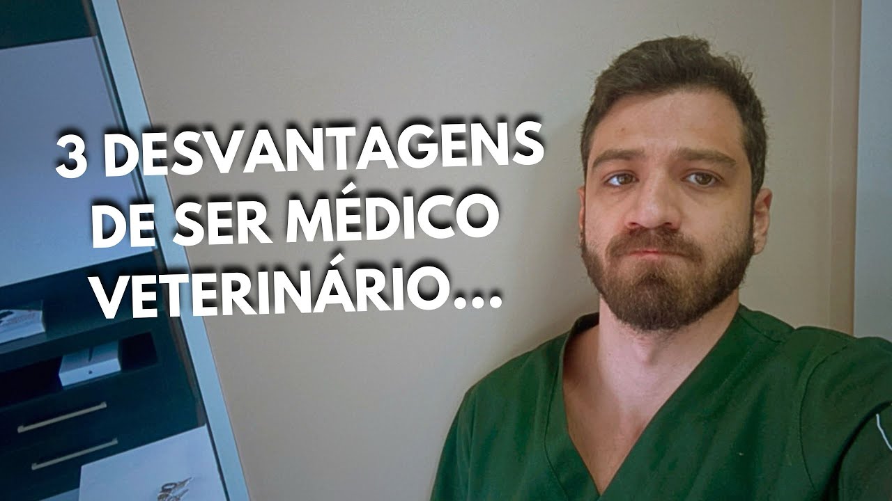 3 Desvantagens de ser Médico Veterinário que você precisa saber… A terceira é a mais importante!