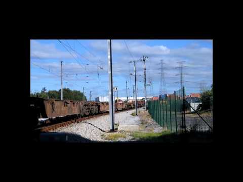 Comboio n.º 95274/5 - São Martinho do Campo