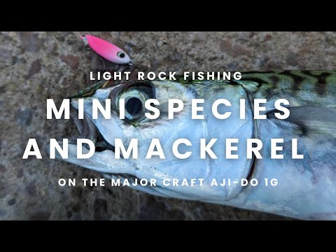 Småfisk på jig og kastepirk i havnen