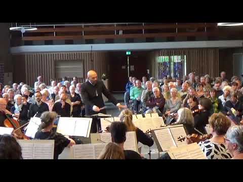 Williams - Overture: the Wasps (Arr.)