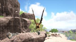 ARK  Survival Evolved Griffin Dive: Ragnarok Map