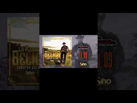 Panchito arredondo Un viejito en una piedra.