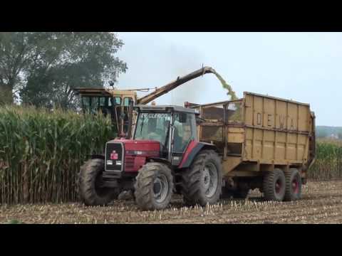 Landb. Tanghe - Wortegem - maïs hakselen - New Holand 2205