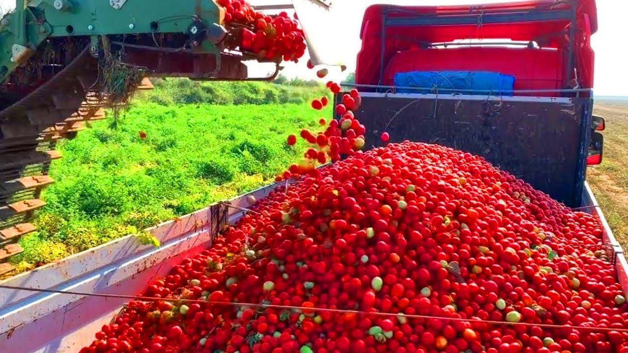 الات زراعيه حديثه ستصدمك