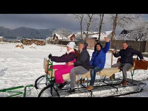 Pensiunea Casa Zarnesteana