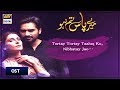 Meray Paas Tum Ho OST Lyrical Video Rahat Fateh Ali Khan ARY Digital