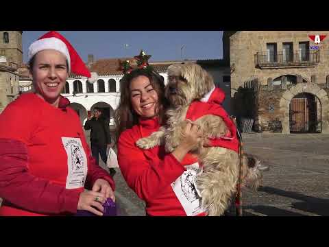 San Silvestre - Preuvas