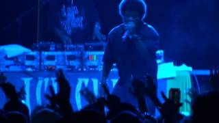 Ice Cube - Steady Mobbin &amp; How to Survive in South Central &amp; Jackin For Beats - Rock The Bells