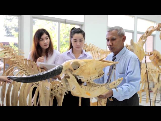 Pibulsongkram Rajabhat University видео №1